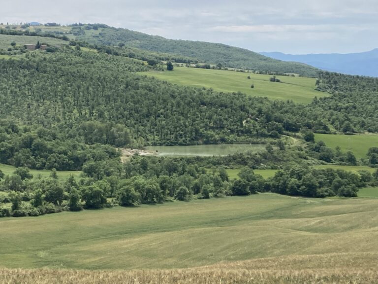 PAC. Fieragricola accende i riflettori, ma per il mondo agricolo ci sono molte ombre sulla politica europea