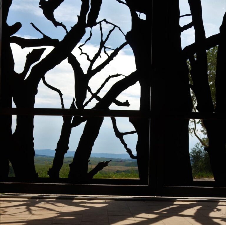 Cenerentola trova casa in Toscana alla Fattoria del Colle. Inaugurazione nuova cantina di Donatella Cinelli Colombini