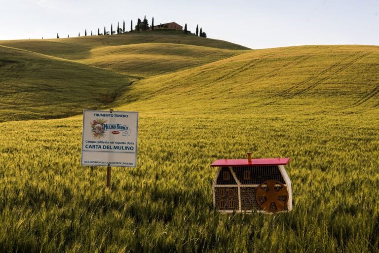 Mulino Bianco. Tutti i biscotti realizzati con farina da agricoltura sostenibile. Prosegue l’impegno per la biodiversità con progetto ‘Mulino delle api’