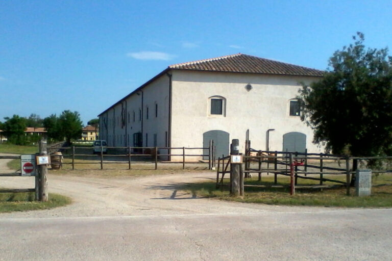 DOP e IGP. All’azienda di Alberese (Grosseto) l’assemblea di Origin Italia con Patuanelli, De Castro e Saccardi