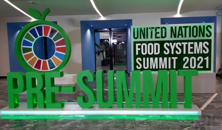 Pre-summit Onu: Cia, agricoltura garante della sicurezza alimentare globale