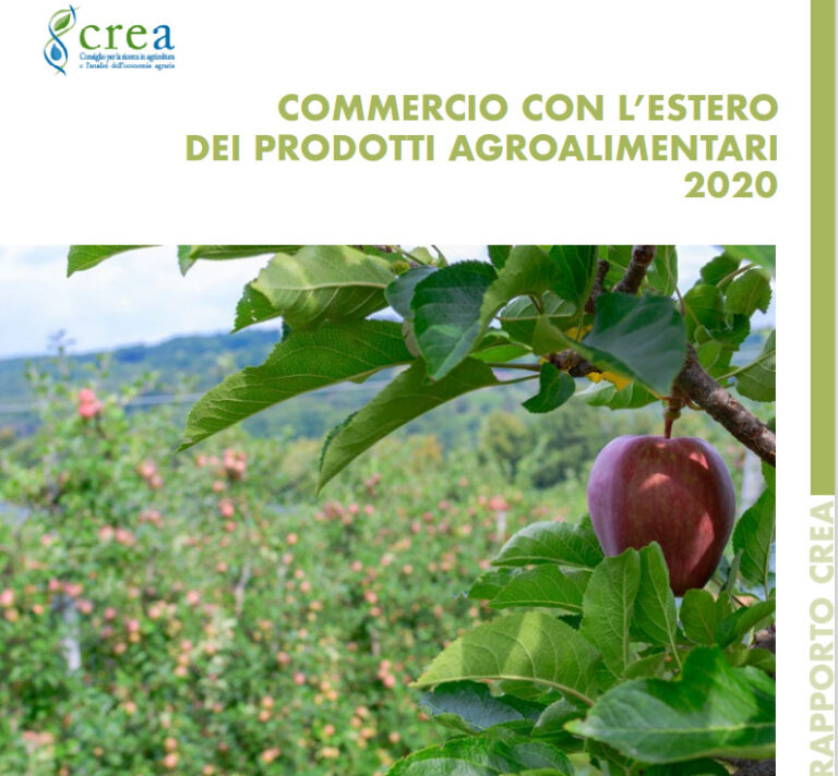 Commercio con l’estero: l’agroalimentare italiano tiene. Nel 2020 segno positivo per la bilancia agroalimentare con +2,6 miliardi di euro