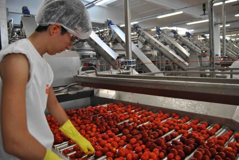 Pomodoro da industria. Nel piacentino accordo per il prezzo che rispetta i mercati internazionali