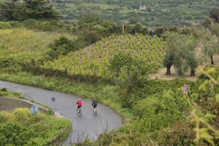 In Sardegna tre (vini) bianchi e il Pecorino Romano pedalano con BEST, nuova rete di bike – hotel