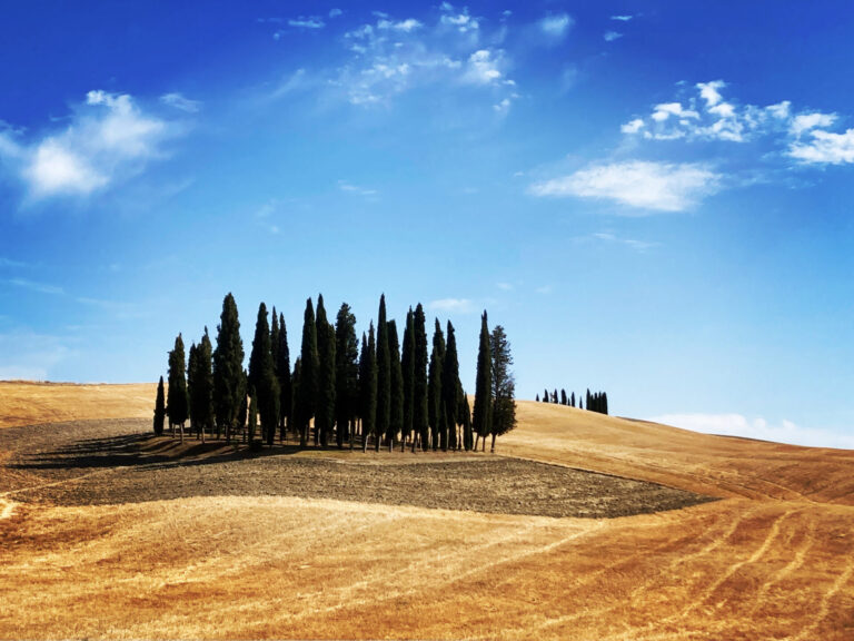 Giornata del paesaggio, Centinaio: Grazie ad agricoltori che lo custodiscono