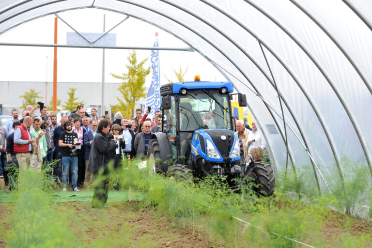 International Asparagus Day a Macfrut 2021 dal 7 al 9 settembre