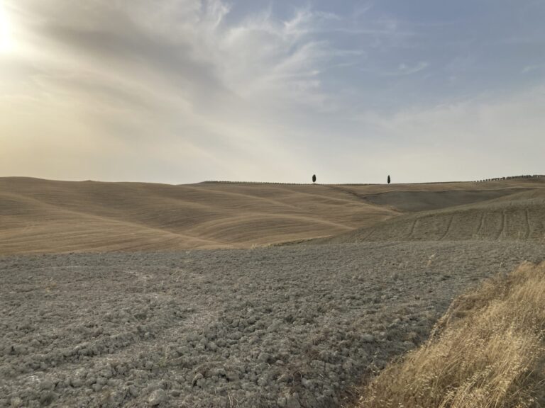 Sostenibilità: fondamentale il contributo delle aziende agricole per la qualità e la sicurezza alimentare