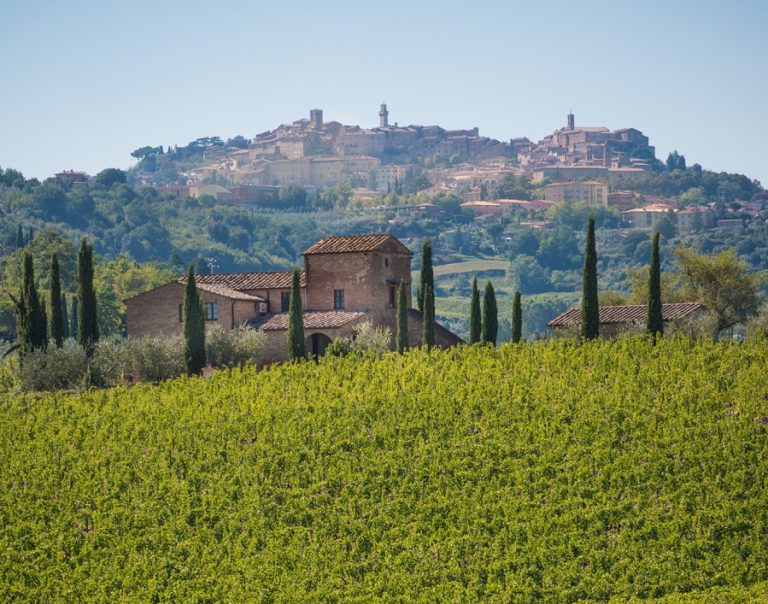 Quando una Docg traina l’economia: a Montepulciano il Vino Nobile vale 1 miliardo di euro e occupa mille impiegati fissi