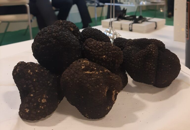 Il 28 maggio a Rende un convegno sul Tartufo di Calabria e la sua filiera promosso dal CREA