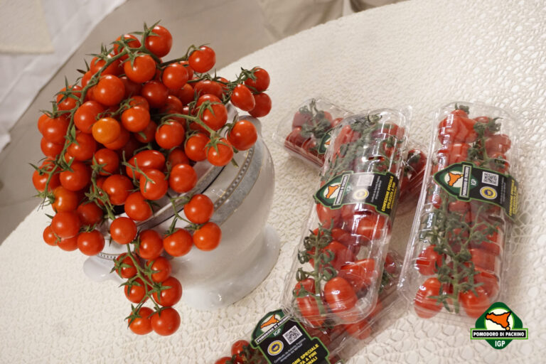 Pomodoro di Pachino IGP: riutilizzo degli scarti della filiera produttiva sulla strada della sostenibilità