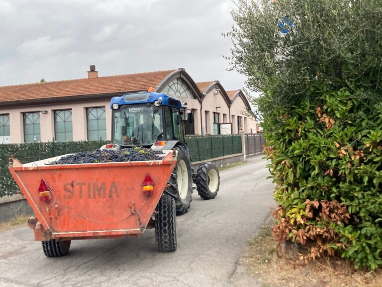 trattore_vendemmia_agricultura