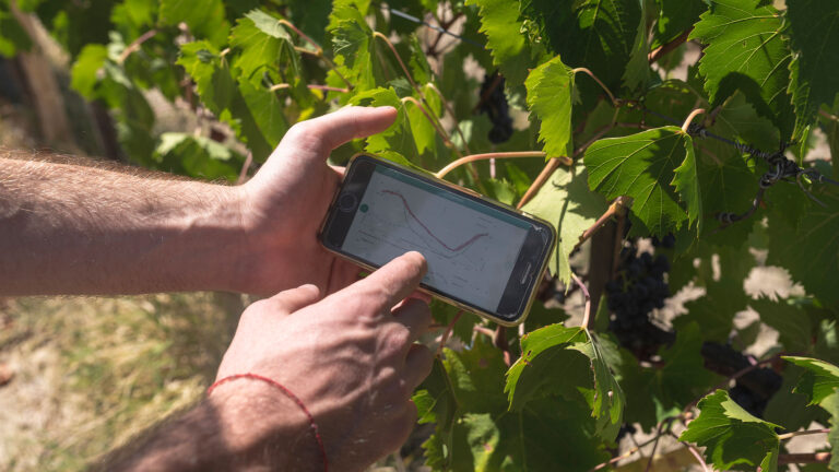 Santa Chiara Lab-Unisi e FMPS. Aperte le iscrizioni al Siena Food Lab Academy, 2021/22, il corso di alta formazione per la crescita delle competenze nell’agrifood