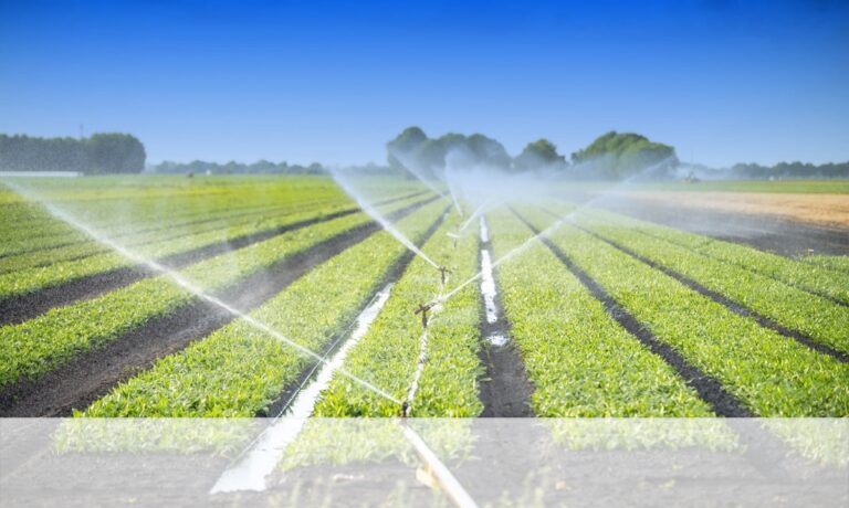 Acqua: una risorsa essenziale per il futuro dell’agricoltura toscana. Convegno Cia Toscana a Venturina Terme