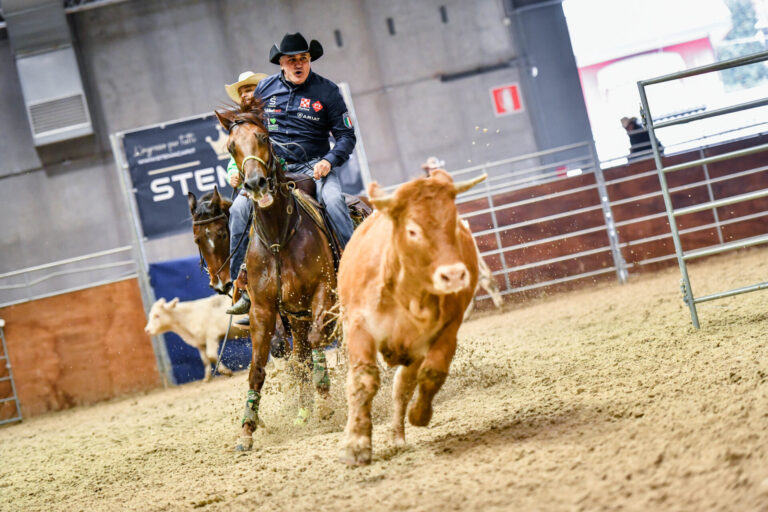 Fieracavalli, grande attenzione per il settore e 100 mila visitatori in due weekend