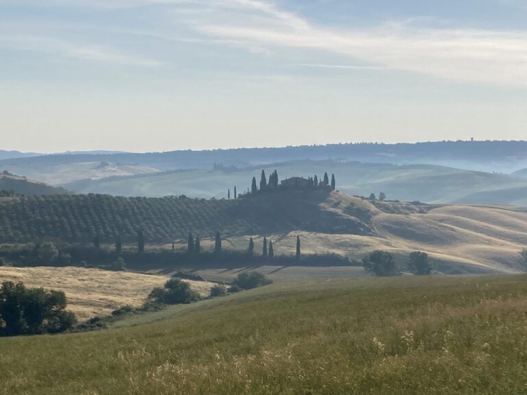 Italiani emigrati non rinunciano ai sapori del territorio di origine. Crea: l’olio extravergine è il prodotto del cuore, per il 73%