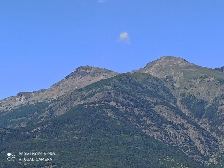 I cambiamenti climatici e le piante: come cambia la linea degli alberi in alta quota