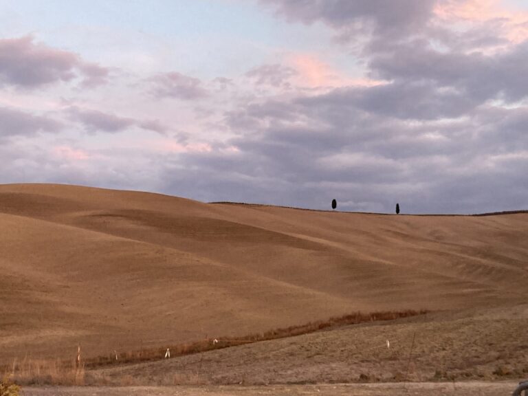 Banca delle Terre Agricole 2022, fino al 5 giugno in vendita 19.800 ettari di terreni