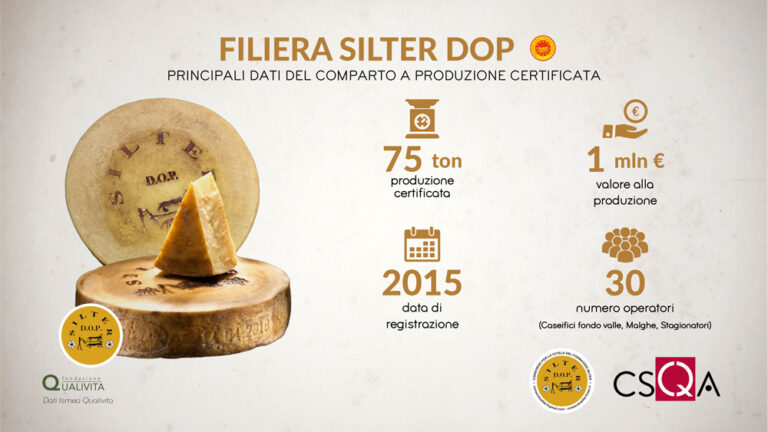 Silter DOP, il ‘formaggio delle malghe’ tocca  il milione di euro di valore alla produzione