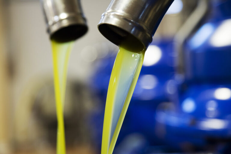 Olio extravergine, Serpillo (UCI): Preoccupante flessione della produzione per la raccolta 2023