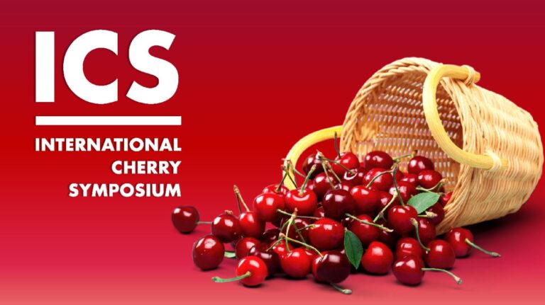 International Cherry Symposium: l’Emilia-Romagna, con Macfrut, ospita il grande evento dedicato alla ciliegia