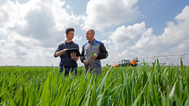 Uno sguardo al futuro: Bayer e l’impegno sui cereali. Il 10 febbraio 2022 (ore 17) anche online