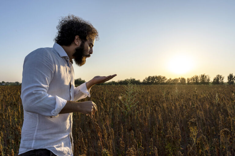 Quinoa. La filiera cresce in Italia e rappresenta un’opportunità per i tanti giovani imprenditori. Il caso dell’Azienda Agricola Tundo