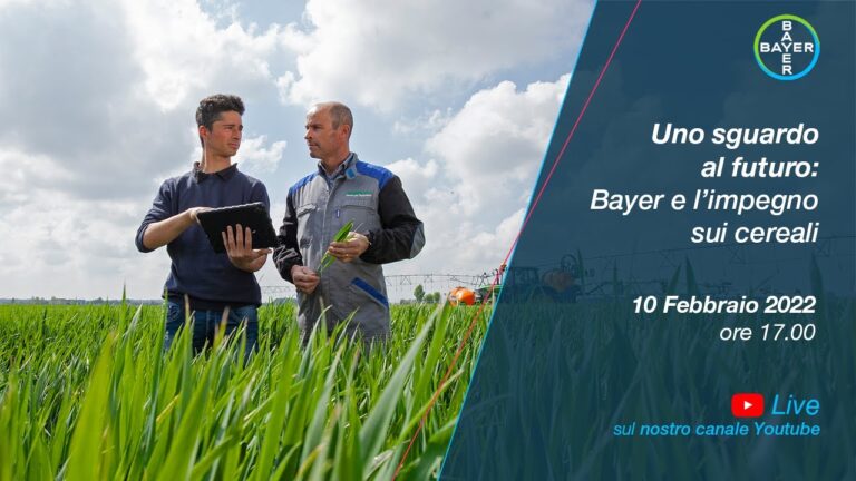 Uno sguardo al futuro: Bayer e l’impegno sui cereali. Evento LIVE (10.2 h.17) segui la diretta