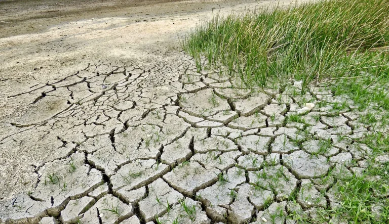 Siccità. Di Mauro (Regione Sicilia): al vaglio la fattibilità di usare l’acqua depurata di Castelvetrano anche per l’orticoltura