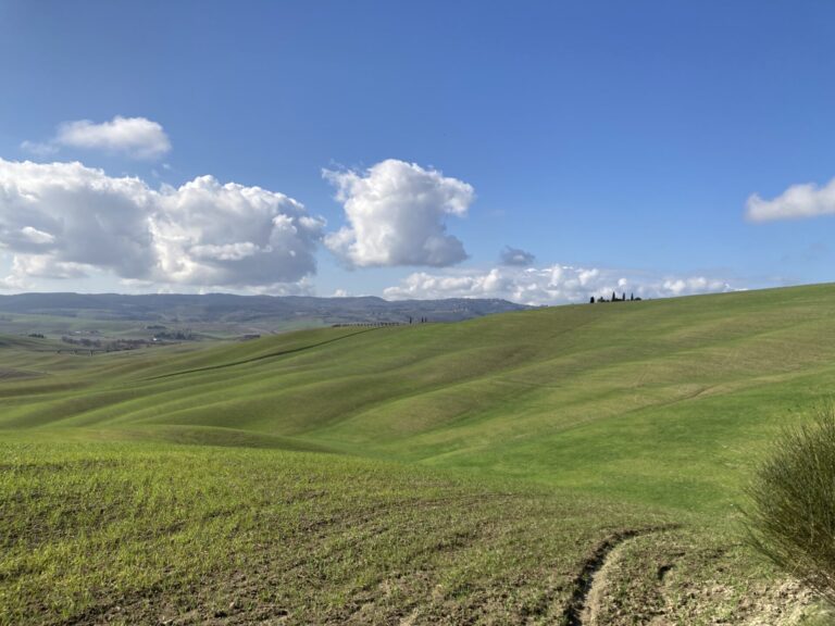 La Val d’Orcia, vino di qualità nel paesaggio più bello del mondo. I risultati del progetto di filiera