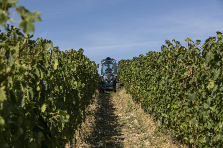 Meccanizzazione. Landini e Best Wine Stars insieme per promuovere l’eccellenza vitivinicola italiana