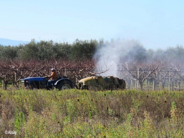 Regolazione barre irroratrici per trattamenti su colture ortive e ‘atomizzatori’ trattamenti frutteti. Prove Alsia Basilicata