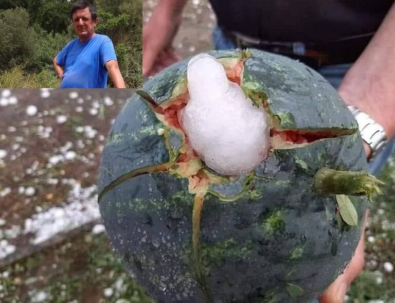 Costi alti anche per gestione del rischio. La denuncia di un agricoltore lucano: le compagnie non ci assicurano più per gelo e grandine