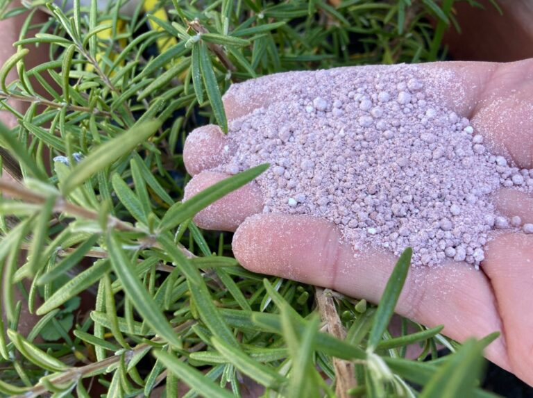 Fertilizzanti. Bruxelles indica l’utilizzo di prodotti green per diminuire la dipendenza dalla Russia