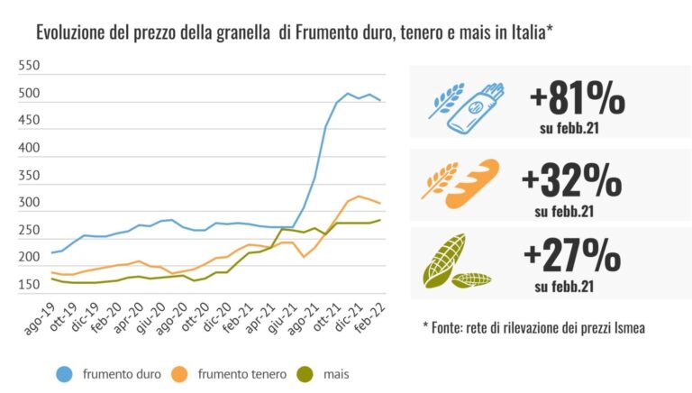 Guerra in Ucraina. Crisi delle materie prime agricole, prezzi in alto, conseguenze in evoluzione