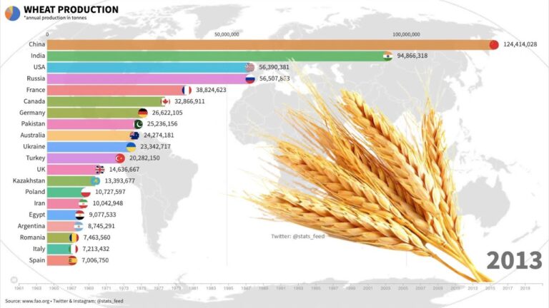 Come è cambiata la produzione di grano nel mondo: dal 1961 (Urss) al 2021 (Cina). Video-infografica