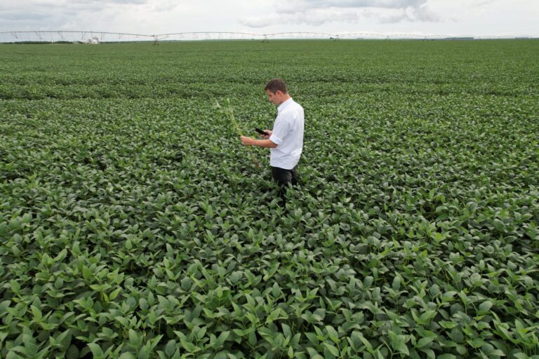 Innovazione. BASF in agricoltura: migliorare la sicurezza alimentare e ridurre l’impatto su clima e ambiente