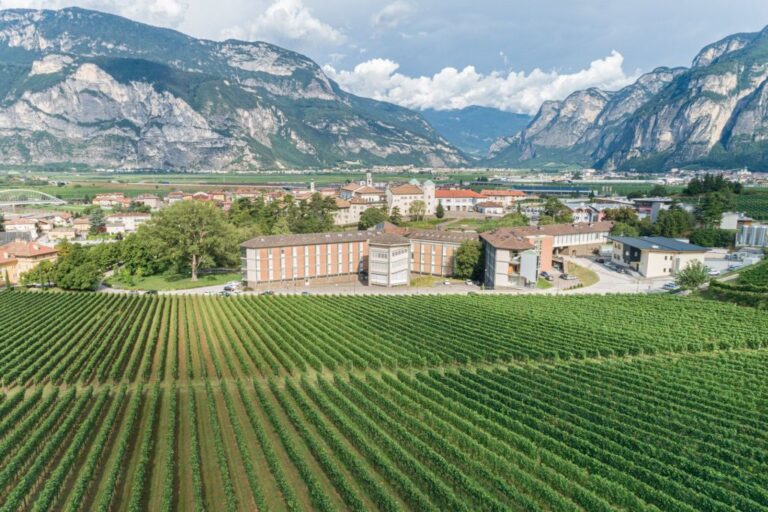 Agricoltura e turismo, la sinergia parte in classe con Fondazione Mach