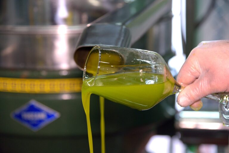 Olio d’oliva. Ismea: il prezzo tiene in alto se c’è la qualità: anche con scorte basse l’extravergine non scende sotto i 9,50 euro al kg