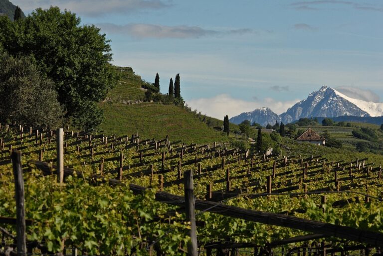 Tutto pronto per Summa: dal 9 al 10 aprile Alois Lageder ospita il salotto del vino sostenibile