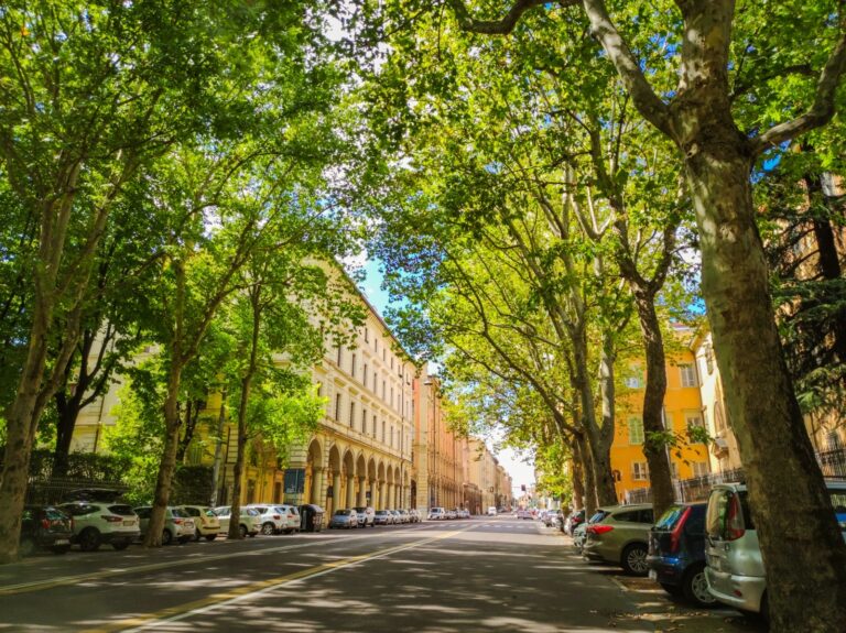 Non basta un albero. Seminario sulle buone pratiche di pianificazione e gestione del verde urbano