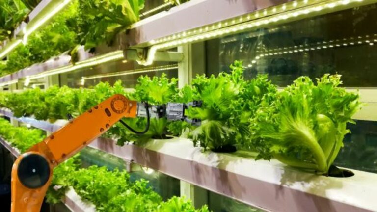 Innovazione. A NovelFarm (Pordenone 25/26 maggio) l’agricoltura del futuro tra digitalizzazione e automazione