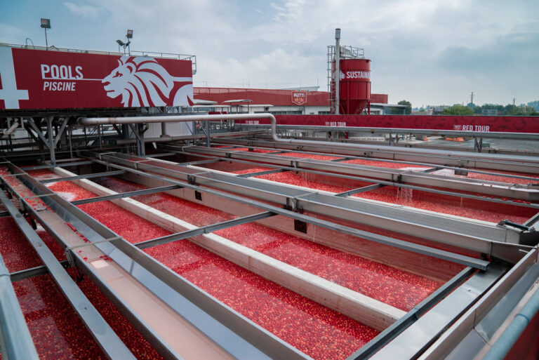 Pomodoro. Mutti su campagna 2022, soddisfazione per la qualità della materia prima nonostante caro energia e siccità