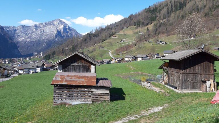 Per gli allevatori è tornato il bollettino dei prati. Riprende il servizio di Fondazione Mach