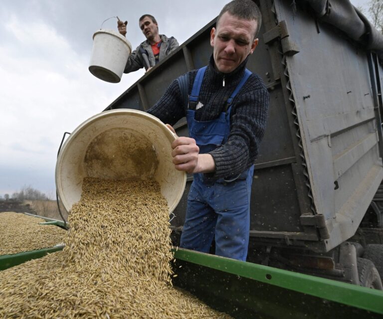 Protesta agricoltori in Est Europa: stop di Polonia, Ungheria e Slovacchia importazioni di grano ucraino. L’UE ribatte: Politica commerciale è competenza europea