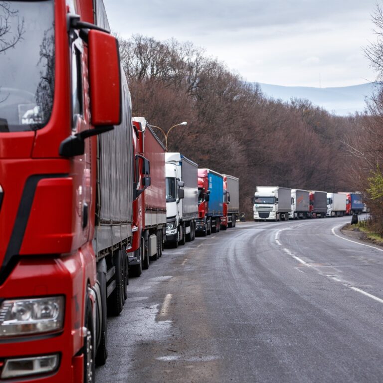 Il trasporto di animali nell’UE incentivato dalle differenze  di costo a livello regionale