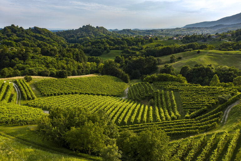 Vino. Uiv, +18,3% nell’export nel primo trimestre. Il mondo beve Prosecco