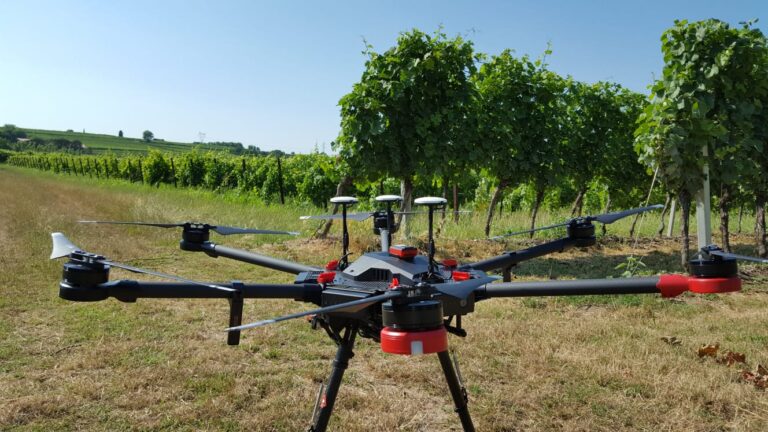 Vino. Confagricoltura Verona: La viticoltura del futuro tra sensori e analisi spaziale dei dati