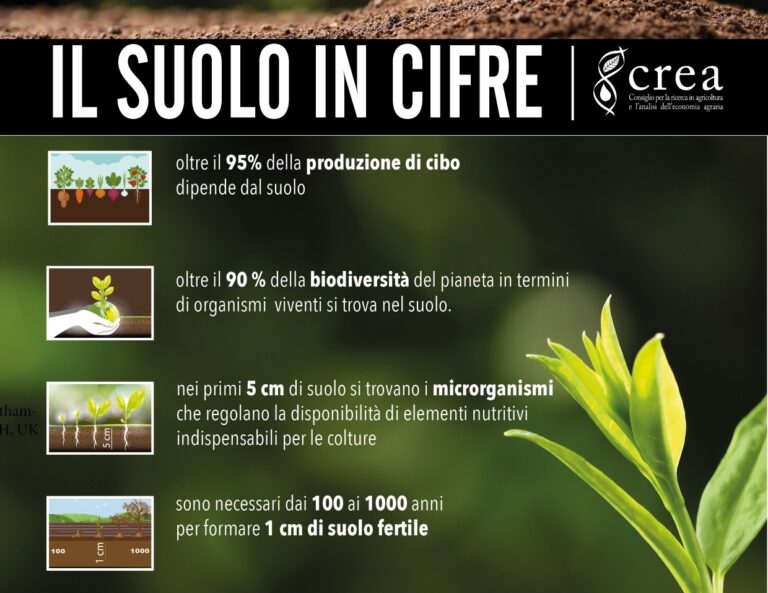 Suolo. Il CREA organizza il Meeting annuale dell’Italian Soil Partnership