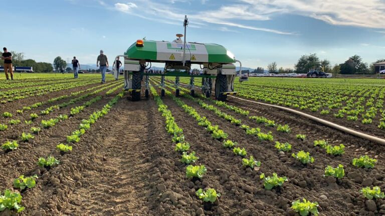 Al via l’indagine dell’Osservatorio Smart AgriFood del Politecnico di Milano e Confagricoltura