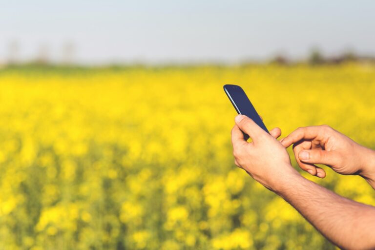 Macfrut. Cia, settore ortofrutta più sostenibile se smart. PNRR guidi svolta agritech